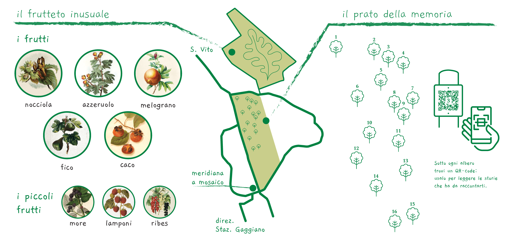 infografica – Bosco 100 passi